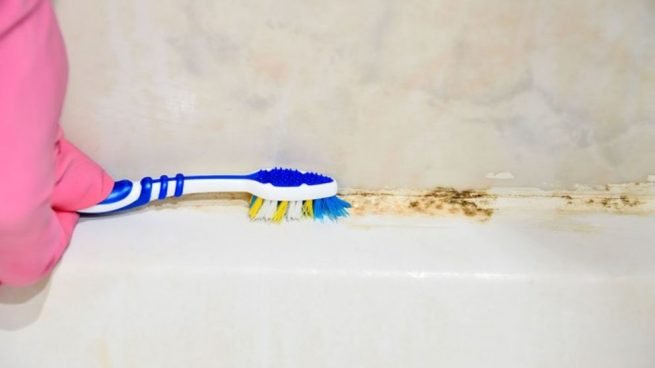 Cómo limpiar el moho del baño fácilmente paso a paso