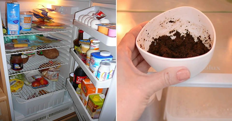 Como Quitar El Mal Olor Del Refrigerador De Forma Simple