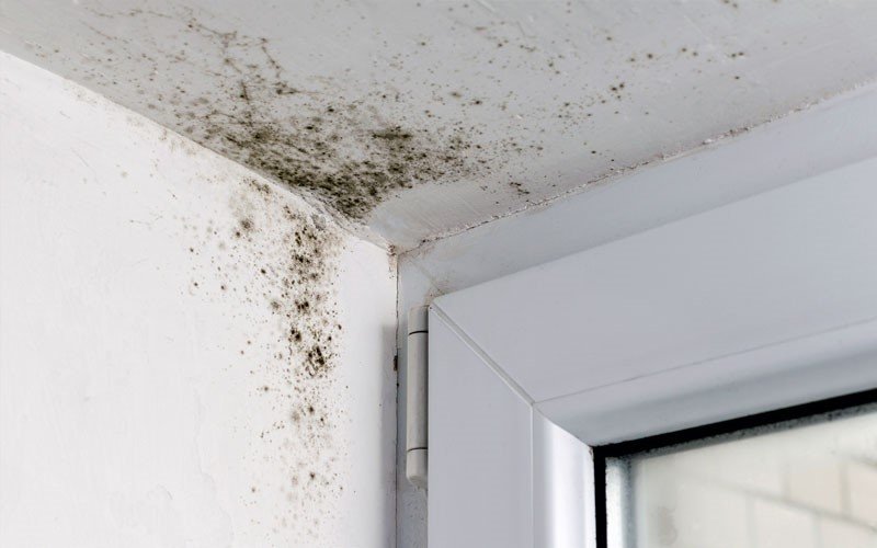 Elimina el moho que afecta el techo del baño con estos trucos naturales