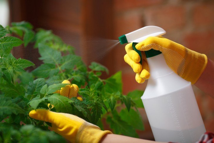9 recetas que puedes preparar en casa para eliminar las hierbas protegiendo las flores