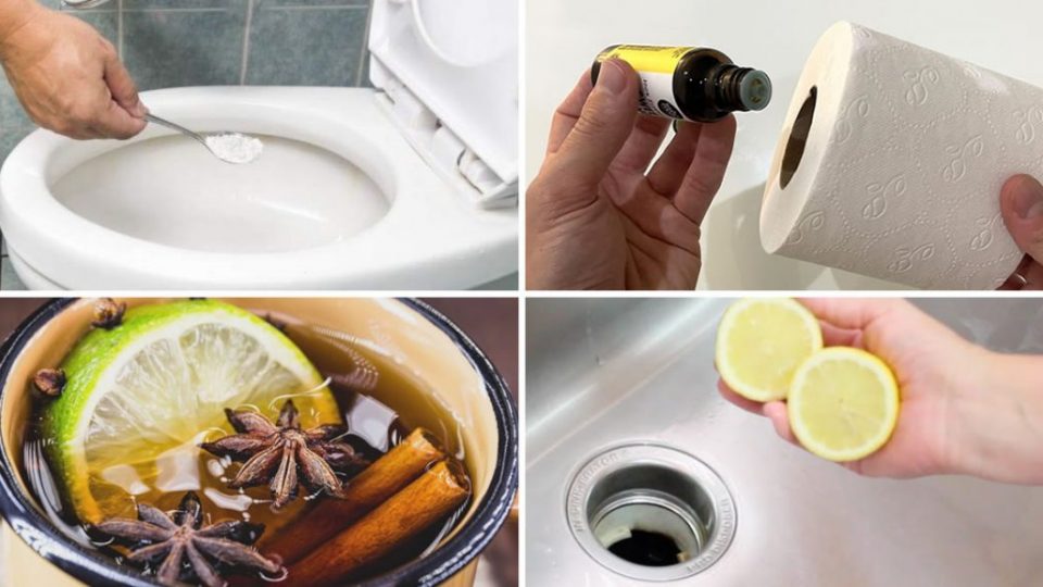 7 ideas baratas para perfumar el baño sin usar ambientador