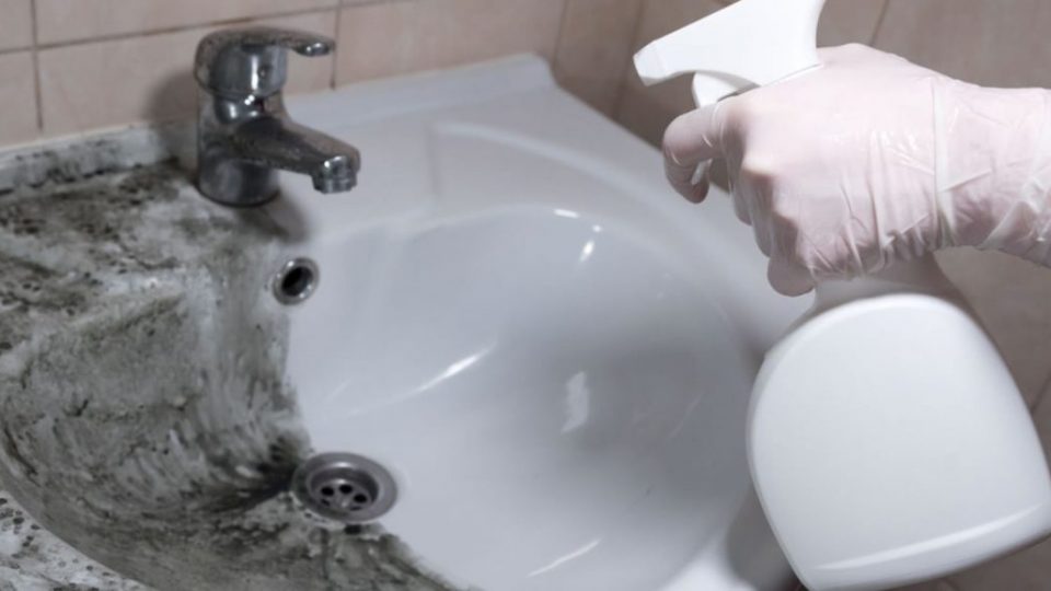 Cómo preparar un “antihongos” casero para eliminar el moho del baño