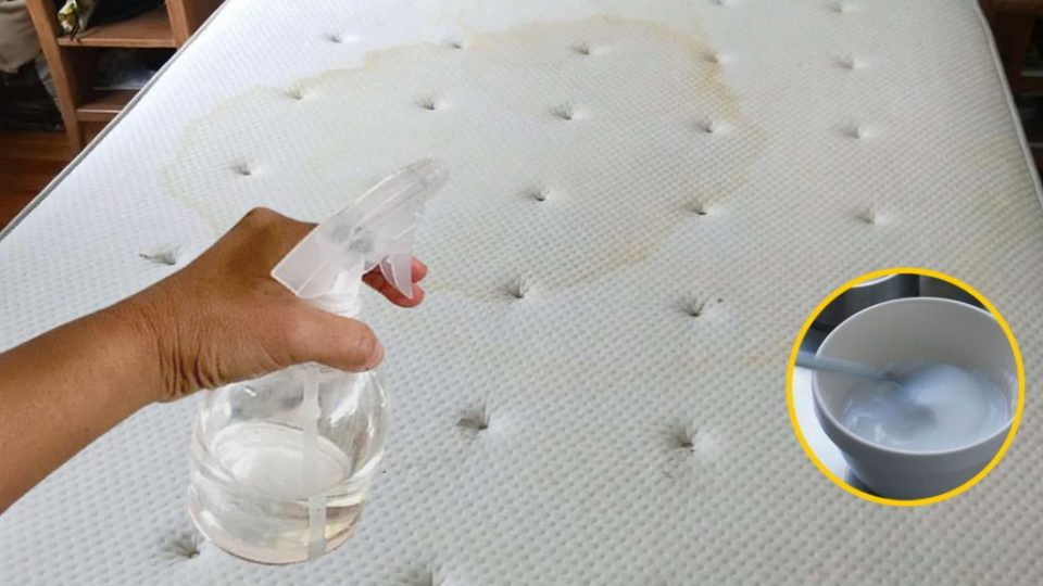Spray desinfectante para colchones: cómo prepararlo para eliminar ácaros y manchas