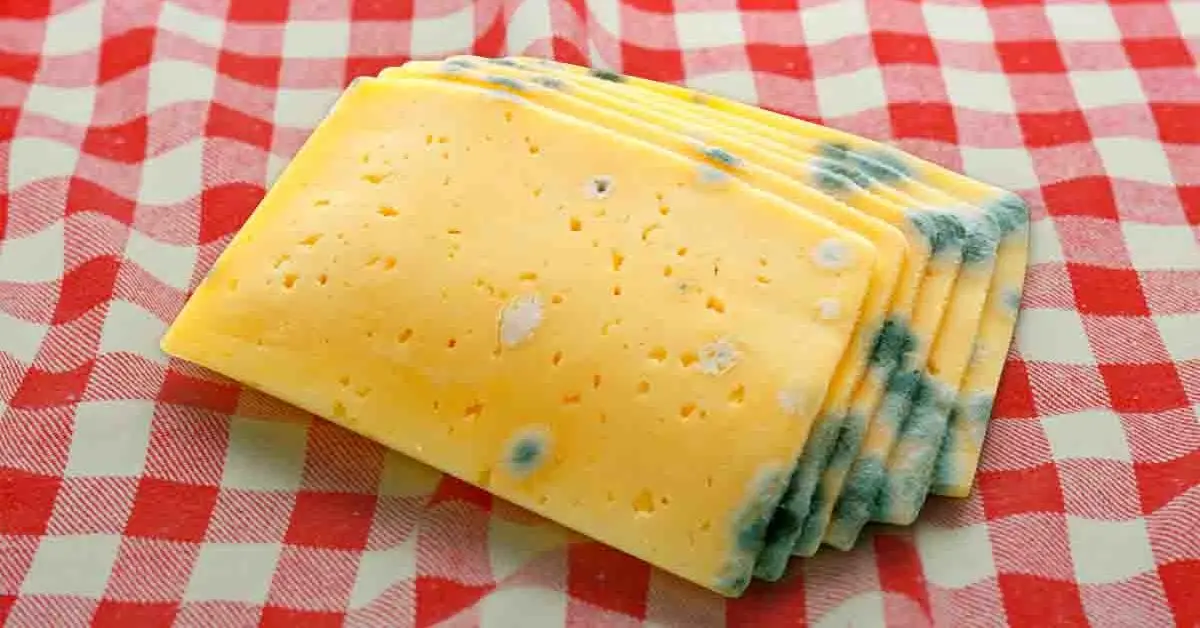 ¿Cómo evitar que el queso tenga moho?