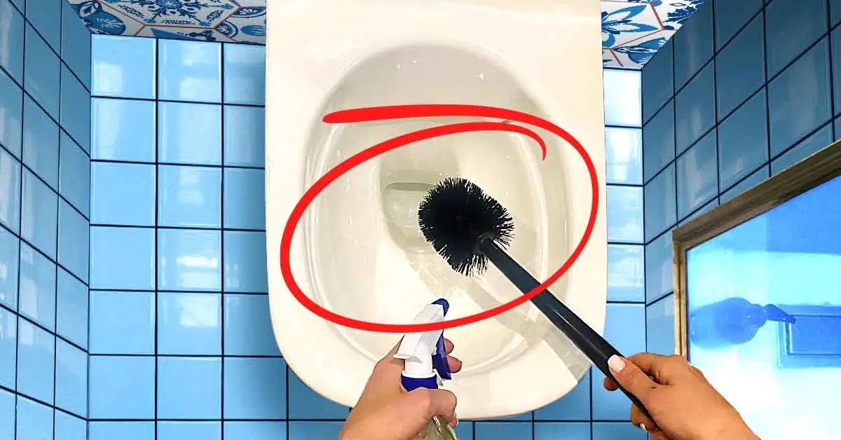 ¿Cómo limpiar y desinfectar a fondo la escobilla del inodoro?