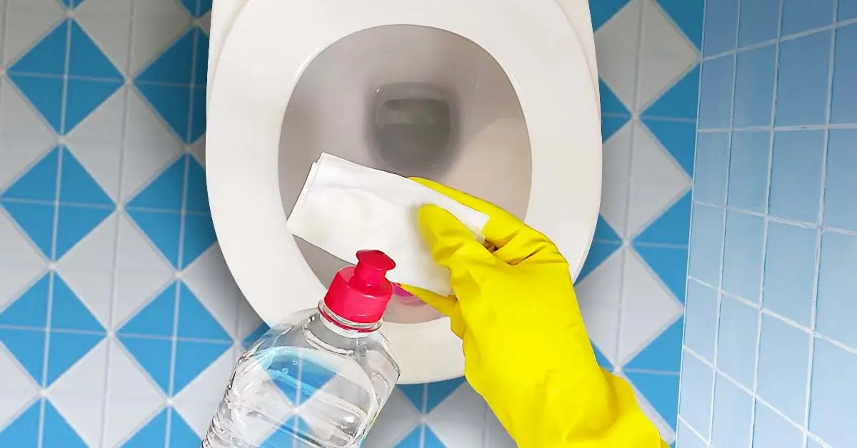 ¿Cómo usar vinagre y papel higiénico para limpiar el inodoro?