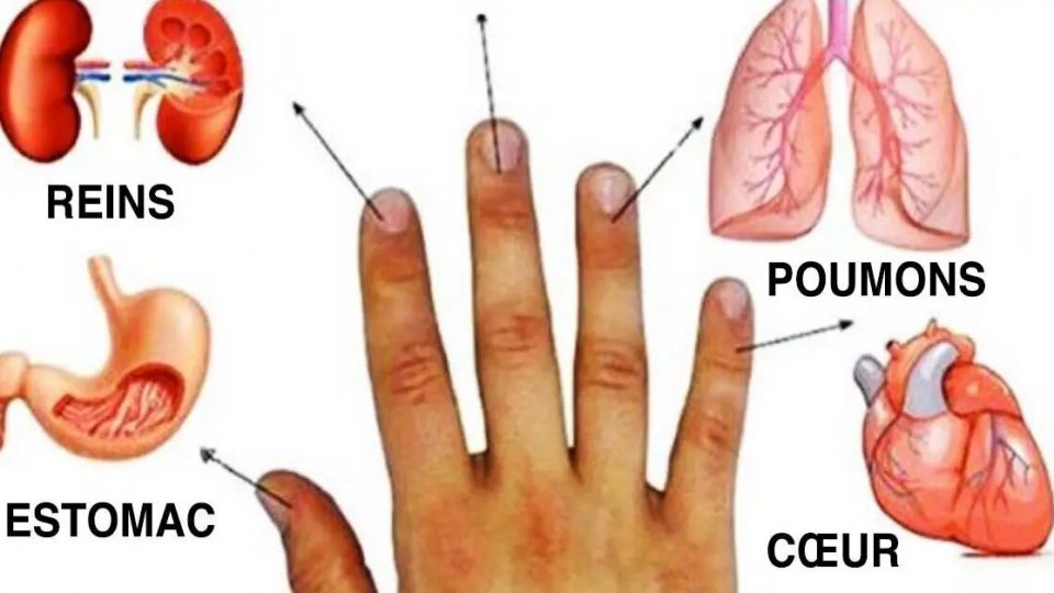 Cada dedo está conectado a un órgano, presiónelo 5 segundos para aliviar el dolor.