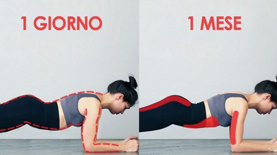 Plank: el ejercicio abdominal que es 1000 veces más efectivo que los demás, y dura solo 1 minuto