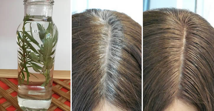 Enjuague ácido de romero para el cabello: para qué sirve y cómo prepararlo