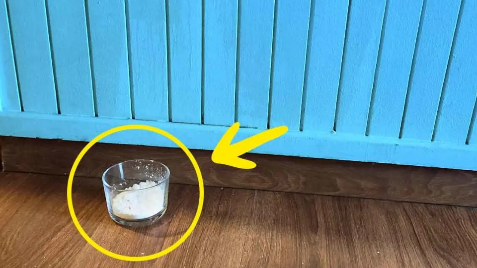 He aquí por qué deberías dejar un vaso de sal en tu apartamento por un día