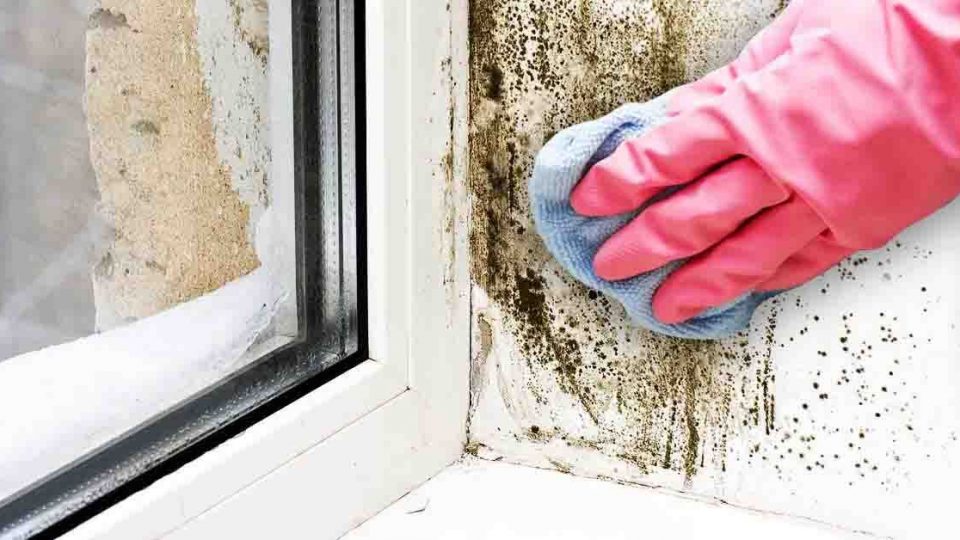 4 consejos brillantes para deshacerse del moho alrededor de las ventanas