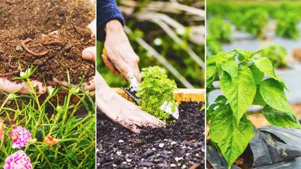 40 consejos de jardinería natural para cuidar tu jardín
