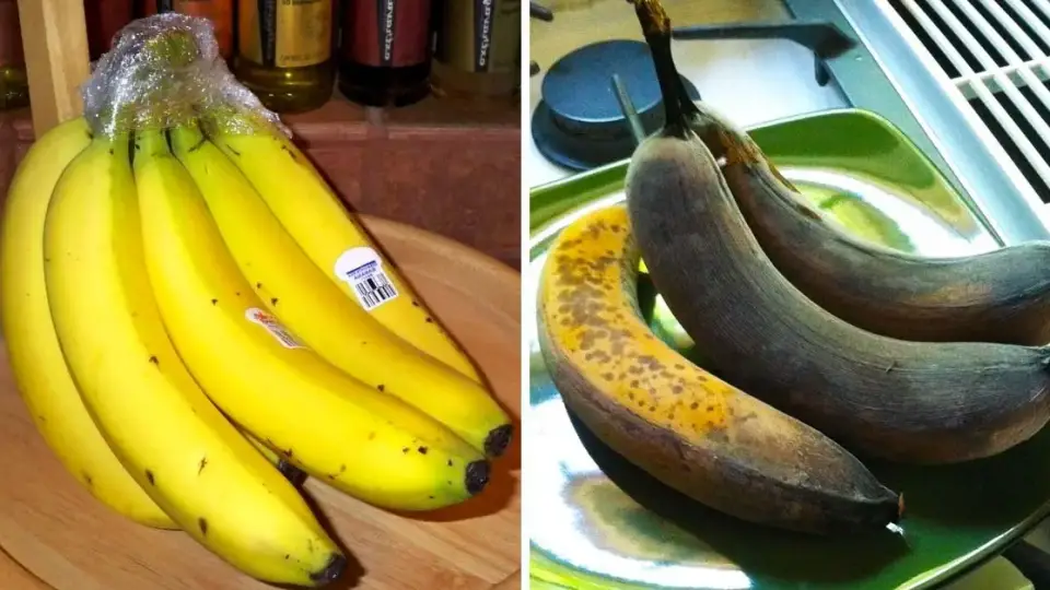 3 consejos efectivos para evitar que los plátanos se pongan marrones y almacenarlos hasta por 15 días