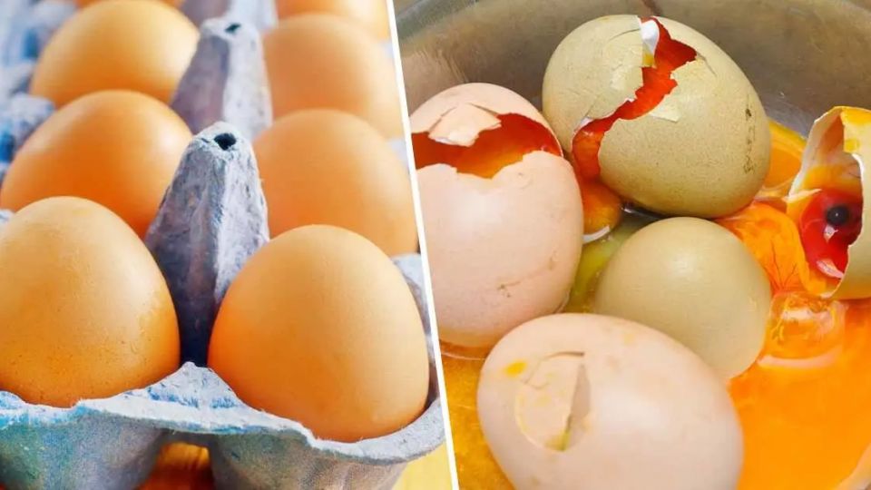 ¿Cómo reconocer un huevo caducado antes de consumirlo? 2 métodos que funcionan