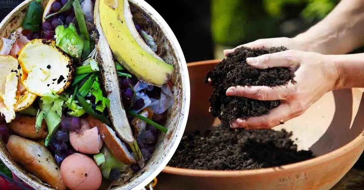 ¿Cómo hacer compost en casa para cultivar tus plantas? 4 sencillos pasos