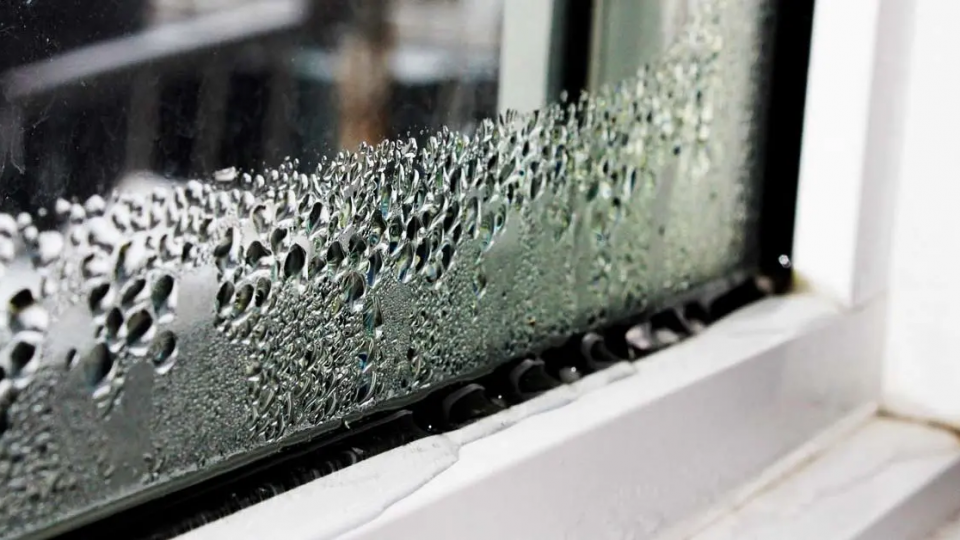 ¿Cómo combatir la condensación en las ventanas por la noche? 6 soluciones rápidas
