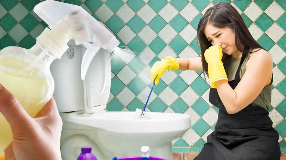 ¿Cómo deshacerse de los malos olores en el baño? 4 consejos simples y efectivos