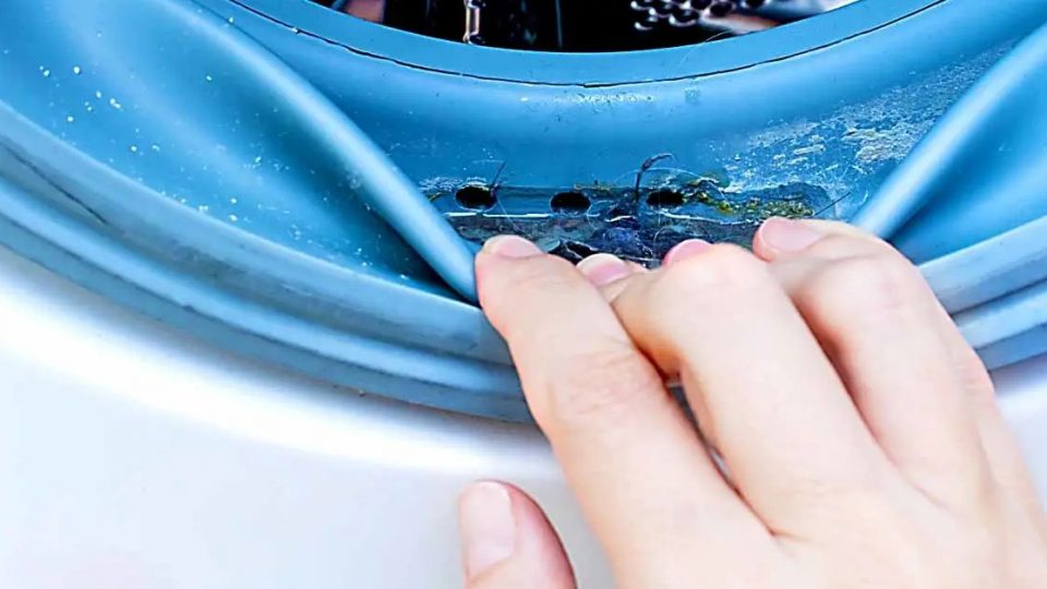 El truco genial para limpiar el moho de la lavadora que infecta tu ropa