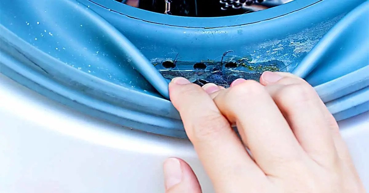 El truco genial para limpiar el moho de la lavadora que infecta tu ropa