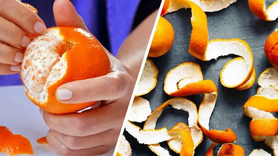 No tires las cáscaras de clementina: aquí hay 8 formas ingeniosas de reciclarlas