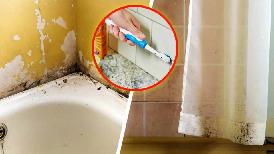 Aquí se explica cómo eliminar permanentemente el moho del baño: para la ducha, las cortinas y los azulejos.