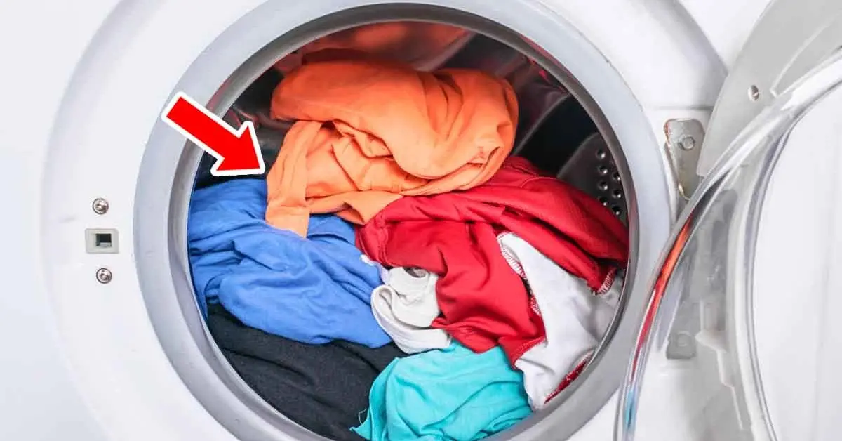Un truco sencillo y económico para eliminar los malos olores de la lavadora