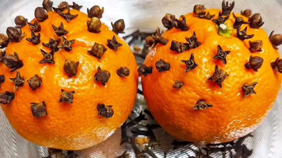 He aquí por qué los clavos deben plantarse absolutamente en una naranja