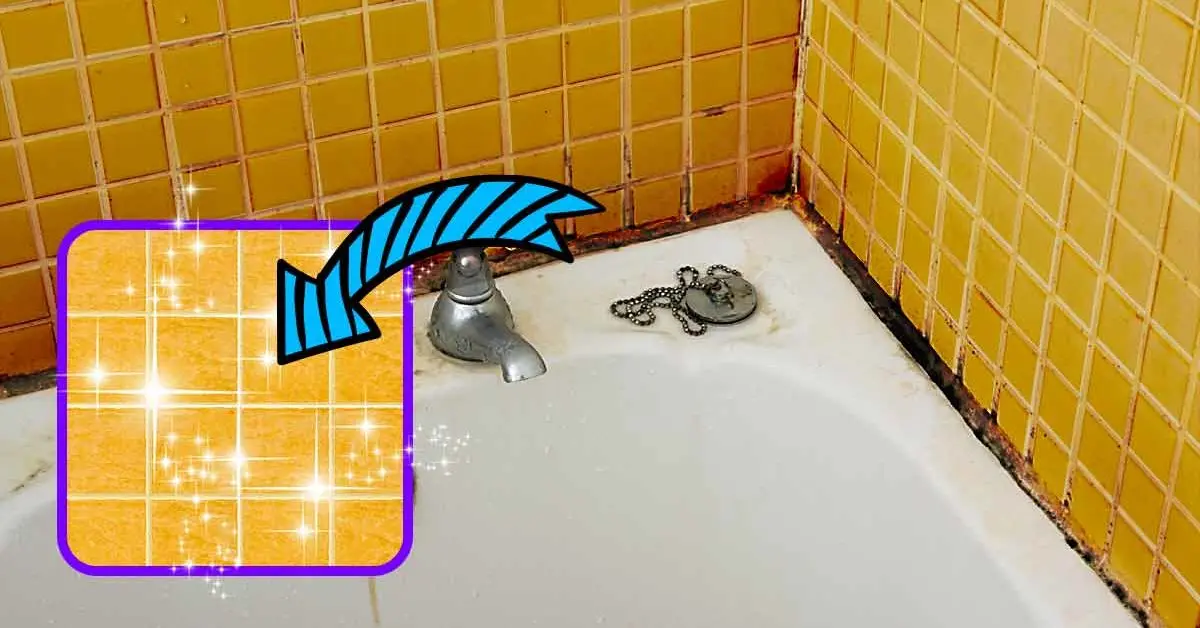 Aquí se explica cómo eliminar eficazmente el moho negro de las lechadas de silicona del baño en minutos