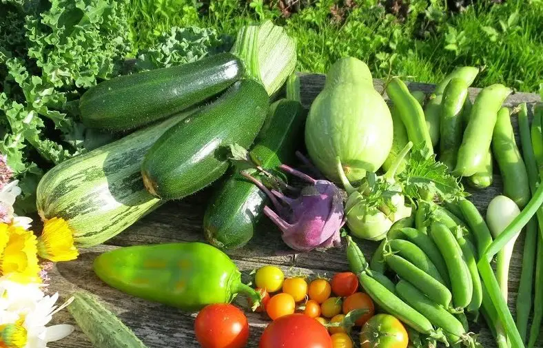 13 verduras que puedes plantar una vez y cosechar durante años