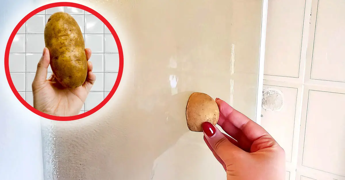 ¿Cómo limpiar toda la ducha con una patata en poco tiempo?