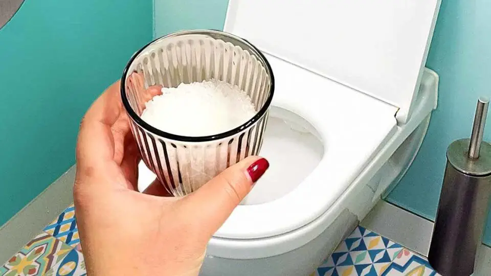 1 vaso de sal es suficiente para solucionar los 8 mayores problemas de la casa