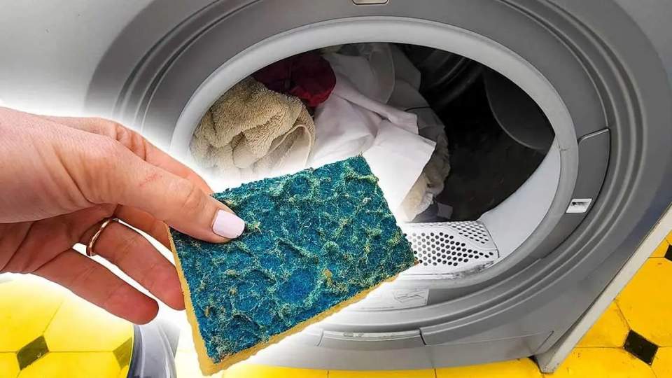 Tirar un estropajo a la lavadora: el truco  que soluciona un problema común