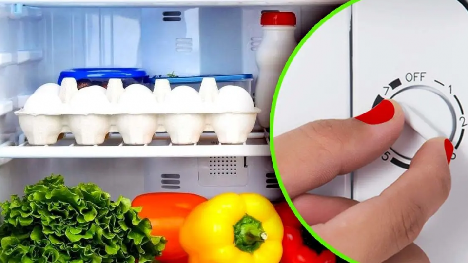 ¿A qué temperatura se debe poner el frigorífico en verano? poca gente sabe