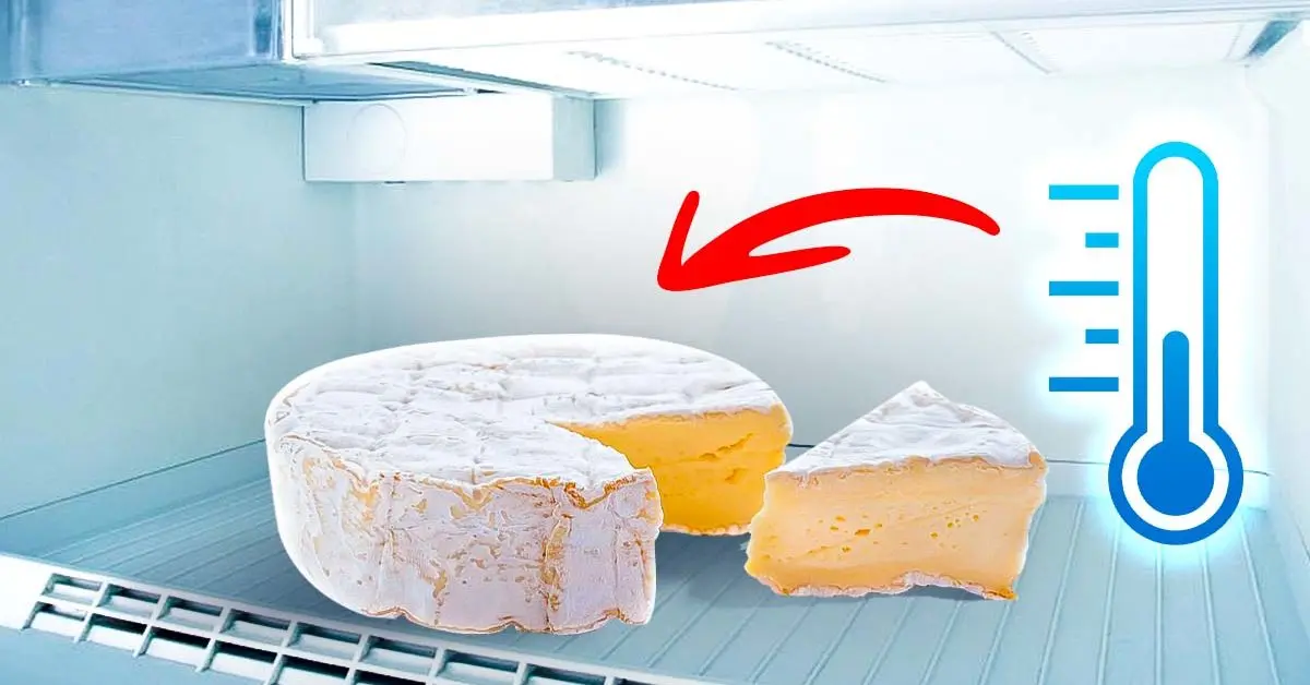 ¿Cómo almacenar queso durante 6 meses en el refrigerador? Aquí está la temperatura óptima para saber