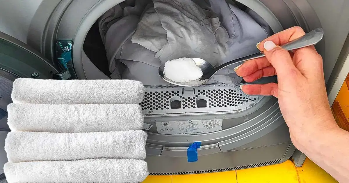 ¿Cómo lavas tus toallas para mantenerlas suaves y esponjosas?
