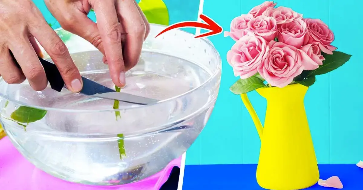 El truco de los floristas para conservar las flores en un jarrón 3 veces más