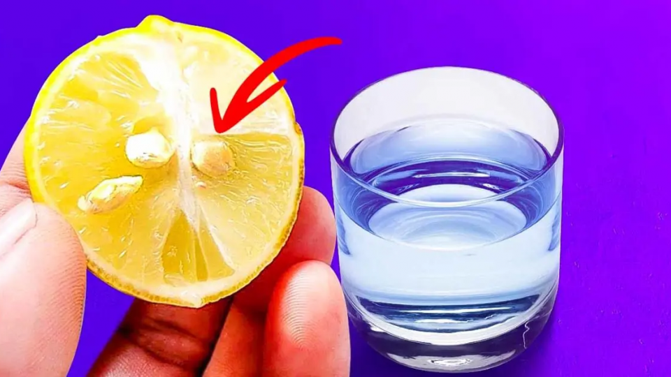 Pon una semilla de limón en un vaso de agua: el truco genial que te hace la vida más fácil