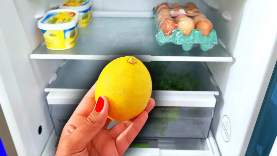 Pon una rodaja de limón en la nevera: eso es suficiente para solucionar un gran problema