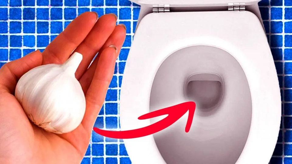 ¿Por qué es importante tirar un diente de ajo por el inodoro antes de dormir? El truco que lo cambia todo