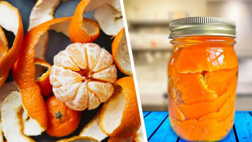 Verter vinagre sobre la ralladura de naranja resuelve uno de los mayores problemas domésticos