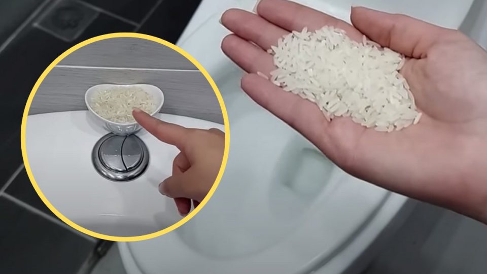 Dejar siempre un bol de arroz en el baño: es la solución a un problema que todos tenemos