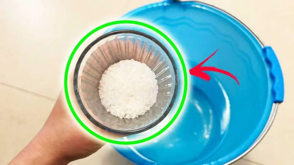 Un vaso de sal gorda para limpiarlo todo: Resuelve 7 problemas en casa