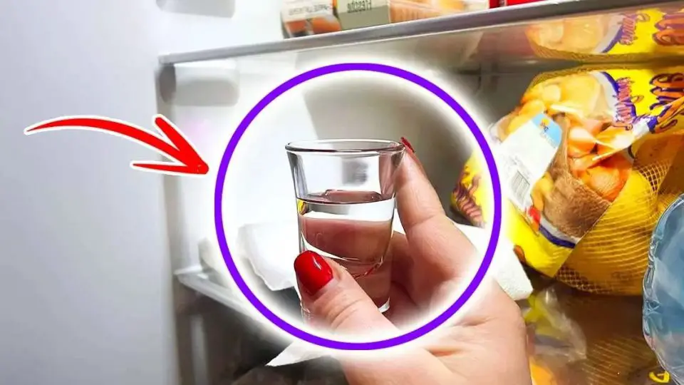 ¿Por qué poner una taza de vinagre dentro de la nevera?
