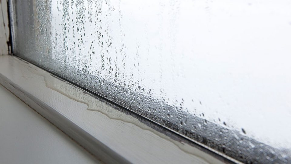 ¿Cómo dejar de tener condensación en las ventanas? 5 consejos simples y efectivos