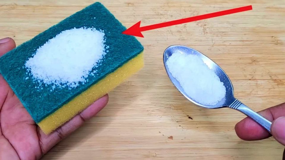 Esponja lavavajillas, poner un poco de sal antes de usar: el secreto de las amas de casa