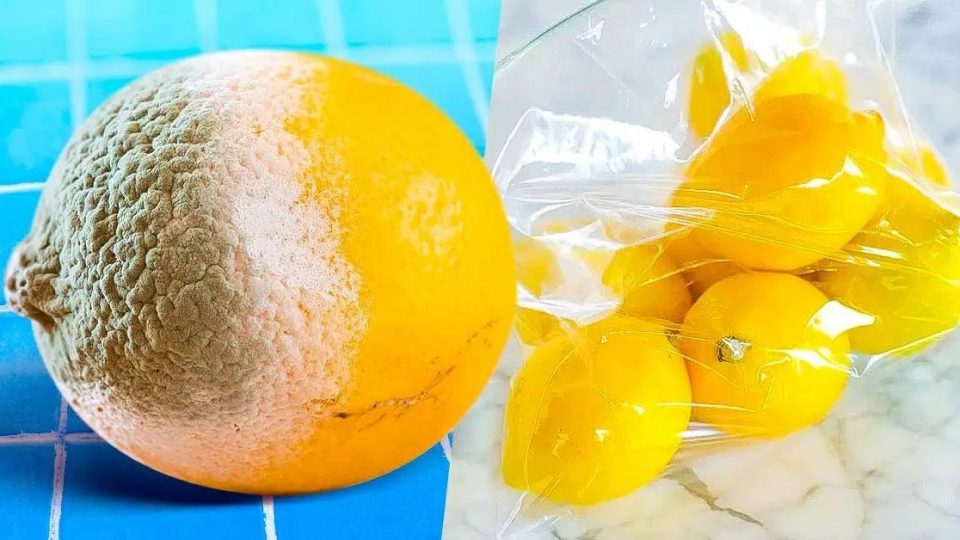El truco para conservar los limones durante 1 año, no se pudren más, no hay que tirarlos