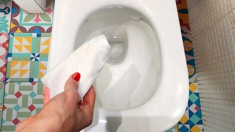 Tirar papel higiénico empapado en vinagre en el inodoro: esto soluciona este problema para siempre
