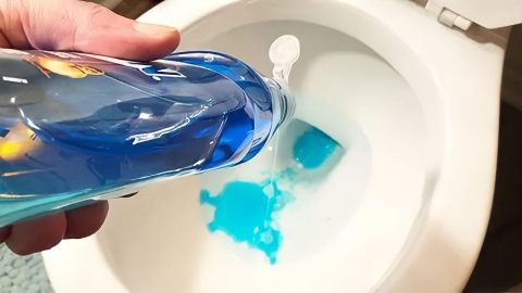 Ponga jabón para lavar platos en el inodoro: lo que sucede durante la noche es impredecible