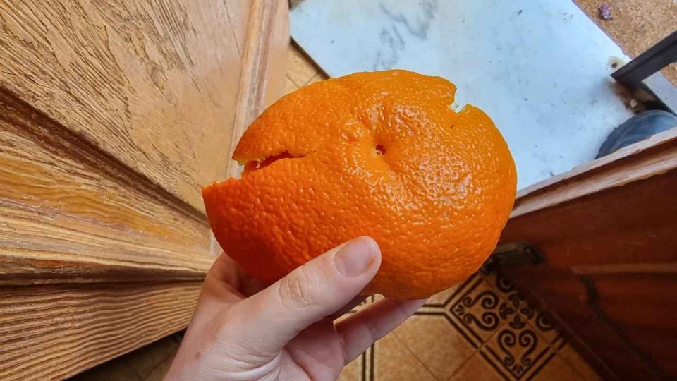 Cáscaras de naranja frente a la puerta principal, resuelve un problema generalizado