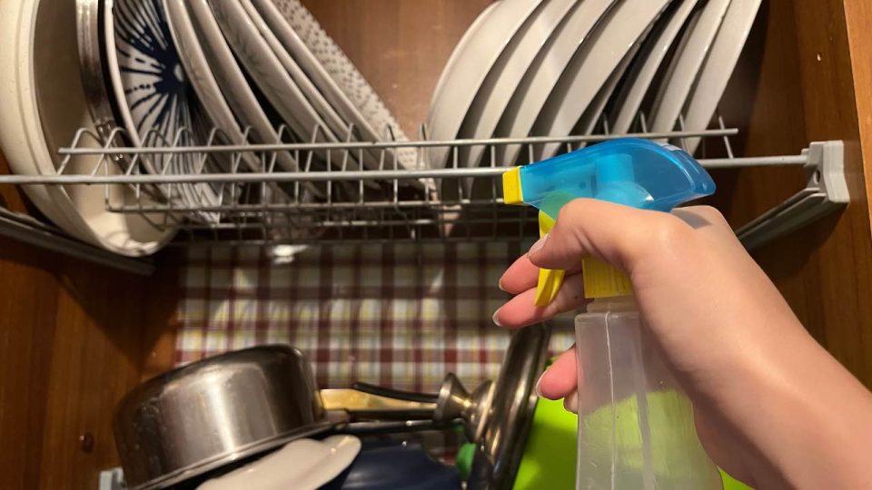 Escurridor de platos sucios, cómo limpiarlo de forma eficaz y natural: 3 pulverizaciones serán suficientes